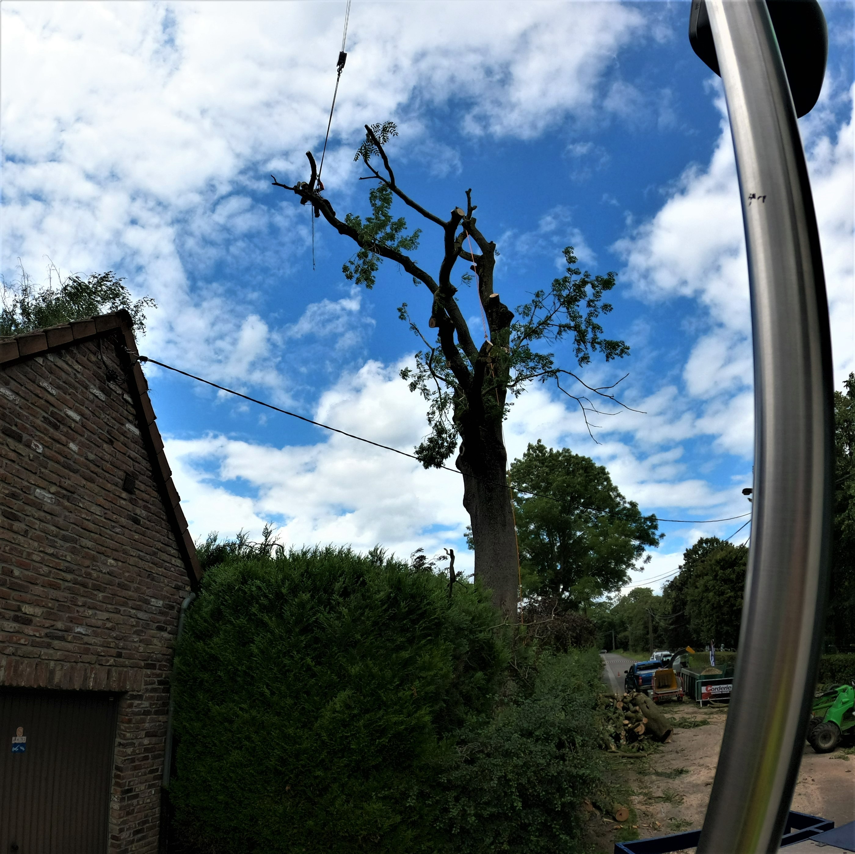 DEMONTAGE_ARBRE_GRUE_CORDERIE_BAUWENS15